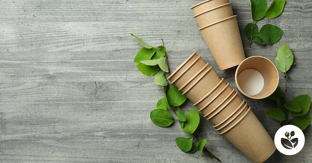 guide d'achat des gobelets en plastique jetables