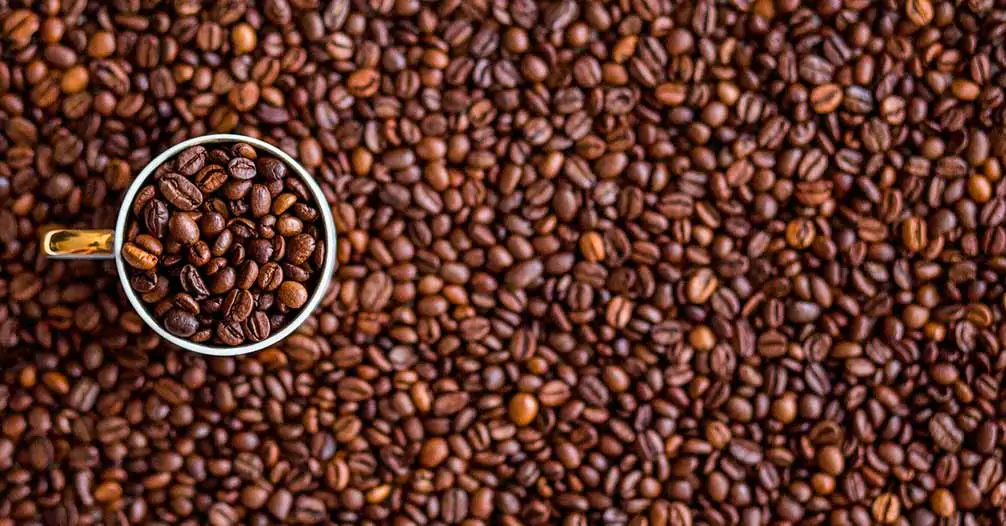 Types de tasses selon leur utilisation